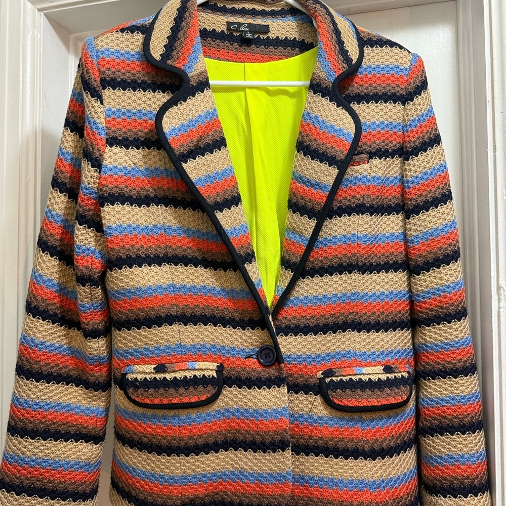 Colorful Striped Women's Blazer - Piperlime Purchase